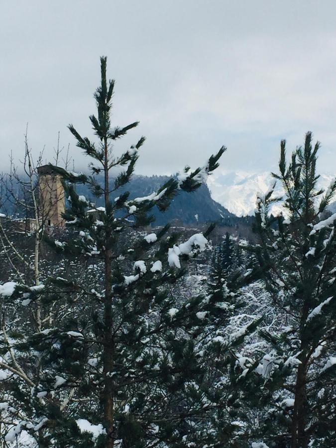 Guesthouse Alpenrose Mestia Zewnętrze zdjęcie